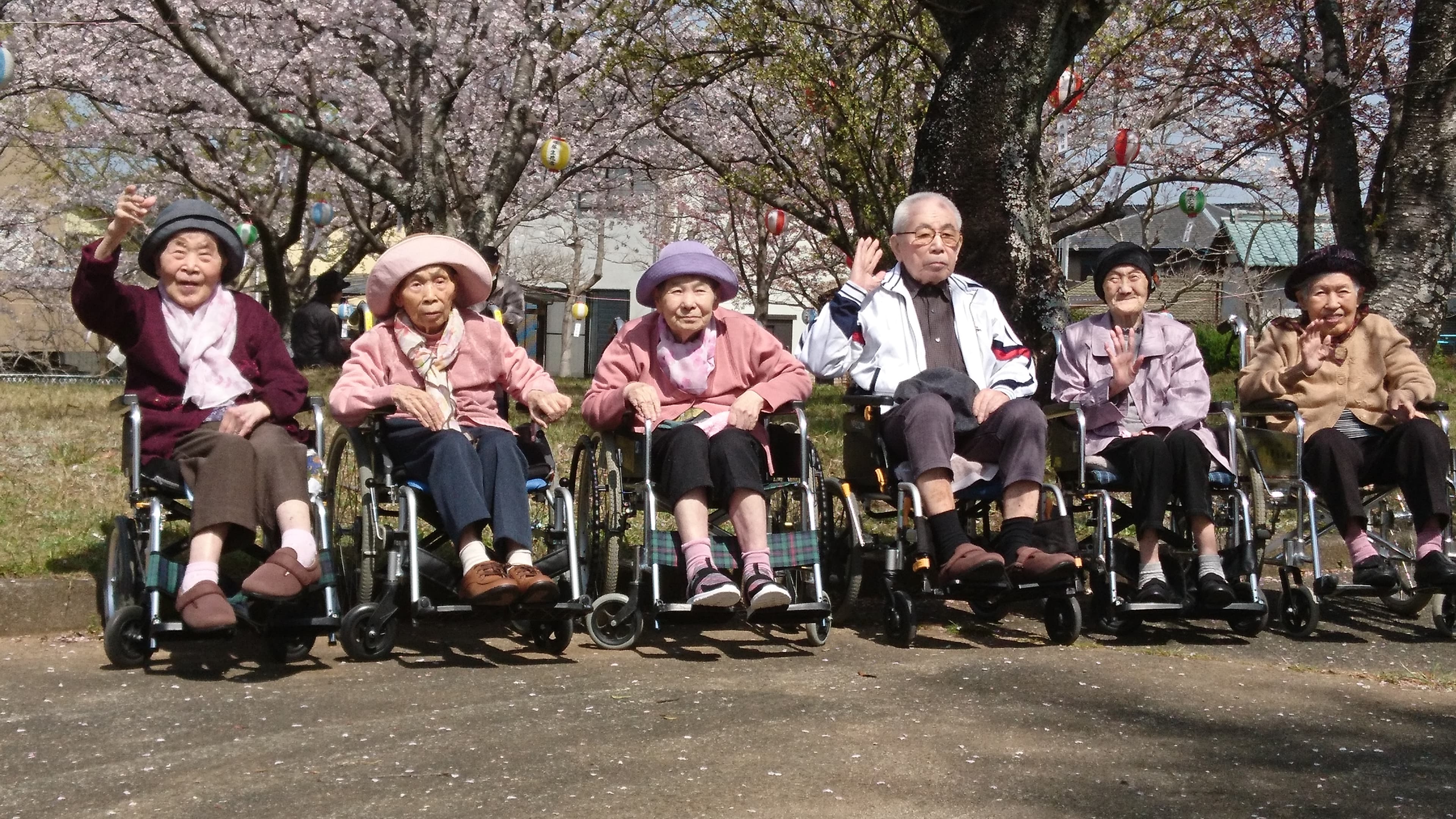 お花見集合写真